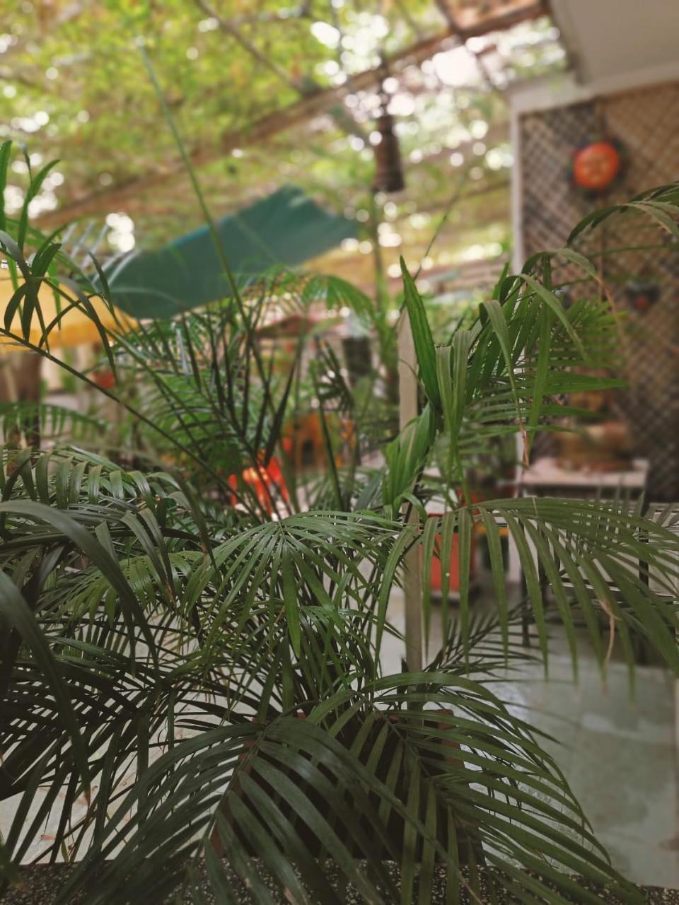 Srinekatan Heritage Villa Homestay Ahmadabad Zewnętrze zdjęcie